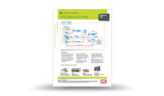 Carrier Ethernet and IP VPNs